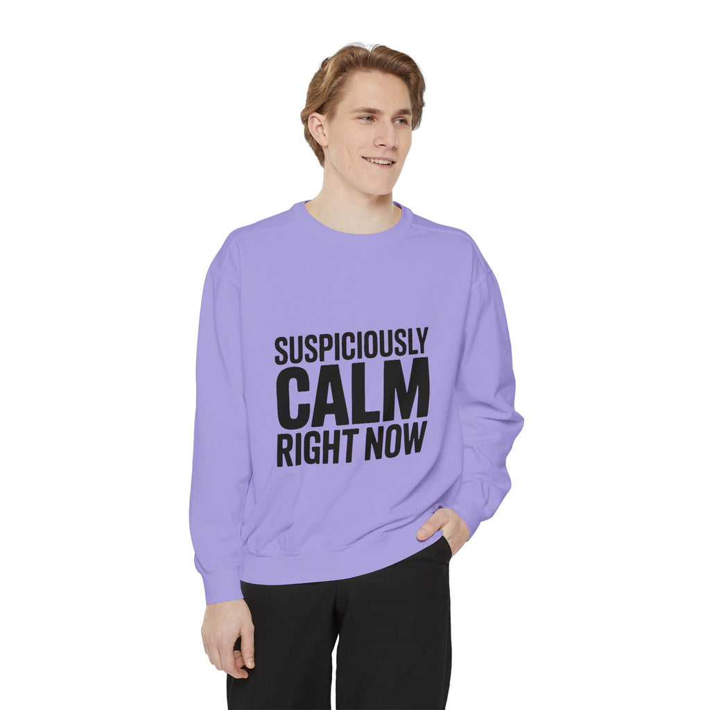 Suspiciously Calm Right Now Sweatshirt, Funny Sarcastic Crewneck, Bold Text Embroidered Patch Style Pullover, Sarcasm Gift