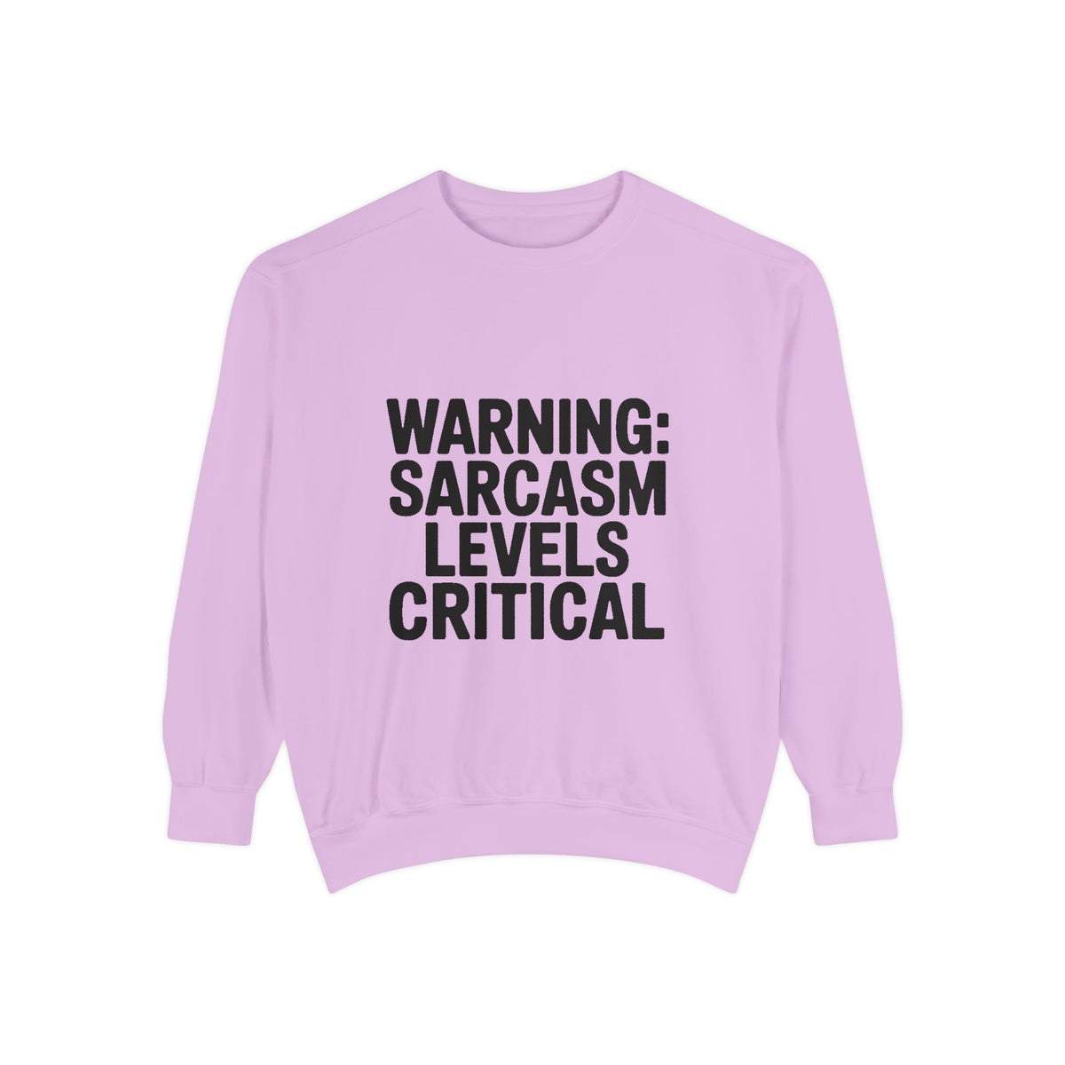 Warning Sarcasm Levels Critical Sweatshirt, Funny Embroidered Crewneck, Sarcastic Quote Pullover, Gift for Sarcastic Friend