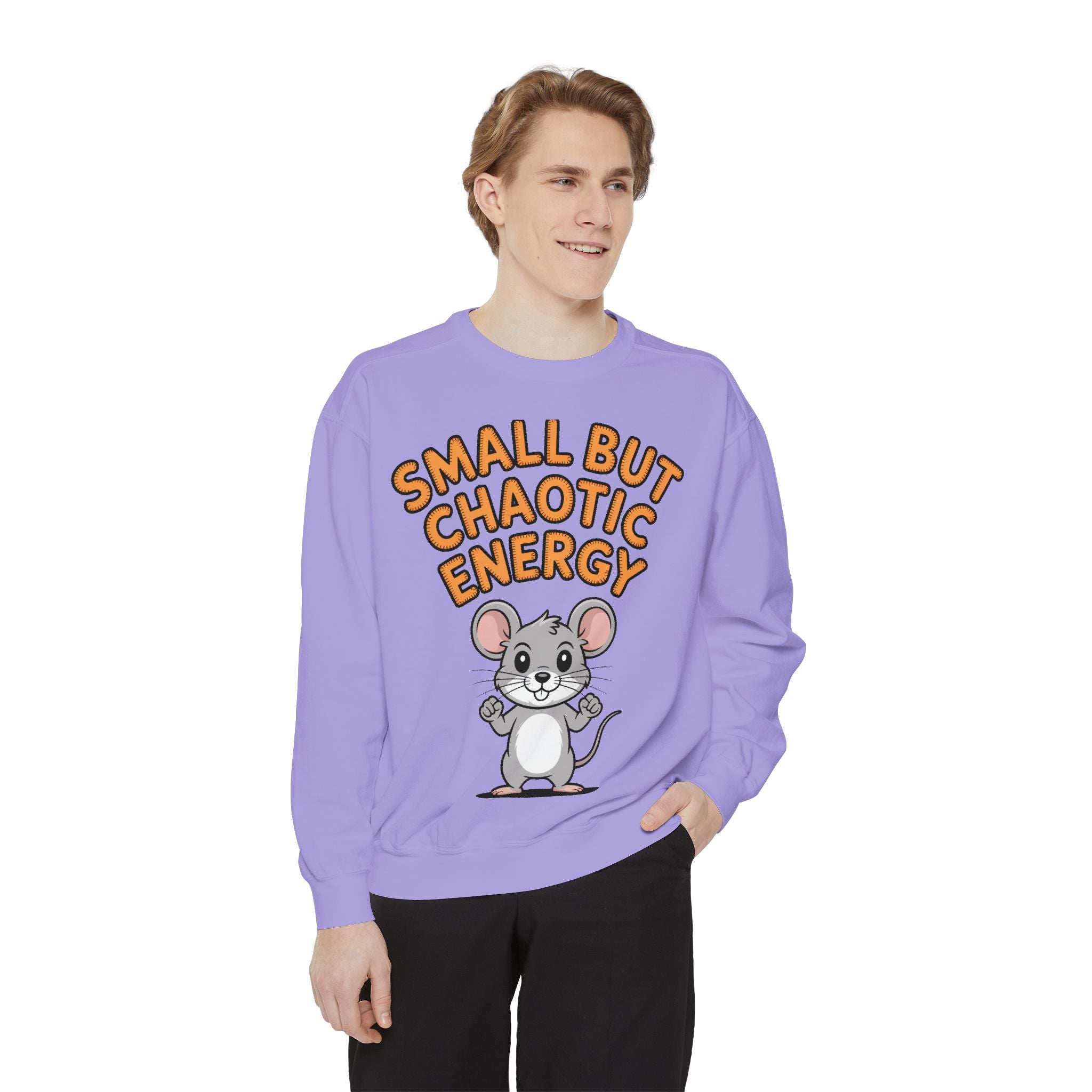 Small But Chaotic Energy Sweatshirt, Funny Mouse Crewneck, Cute Cartoon Mouse Sweatshirt, Embroidered Patch Style Gift