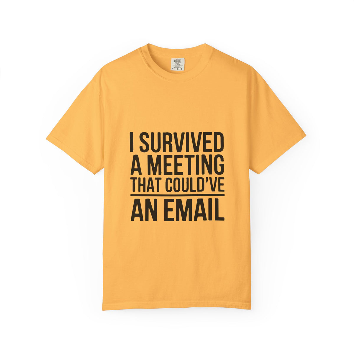 I Survived A Meeting That Could've Been An Email Shirt, Funny Office T-Shirt, Sarcastic Coworker Gift, Corporate Humor Tee