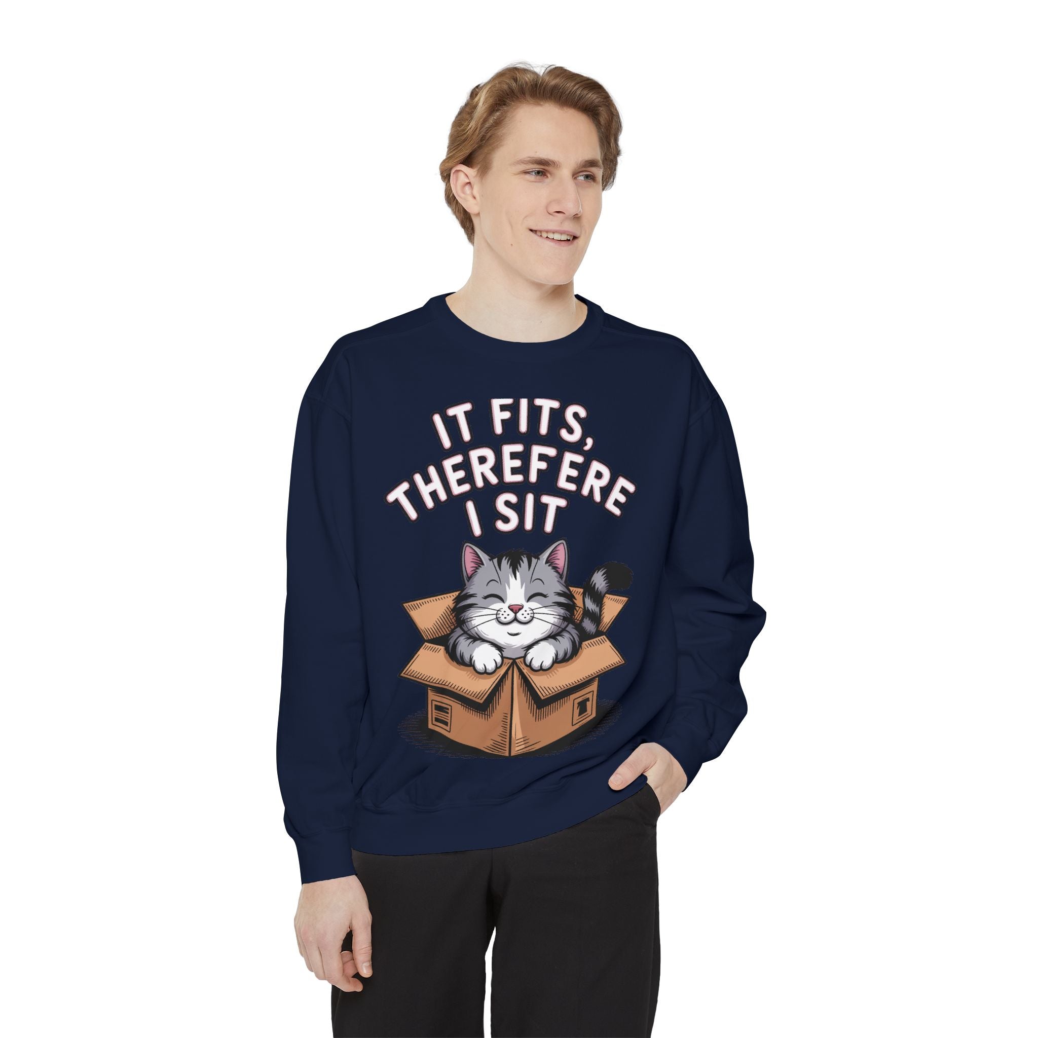Funny Cat Sweatshirt, It Fits Therefore I Sit Crewneck, Cat In Box Embroidered Sweatshirt, Cat Lover Gift, Funny Cat Lover Sweater