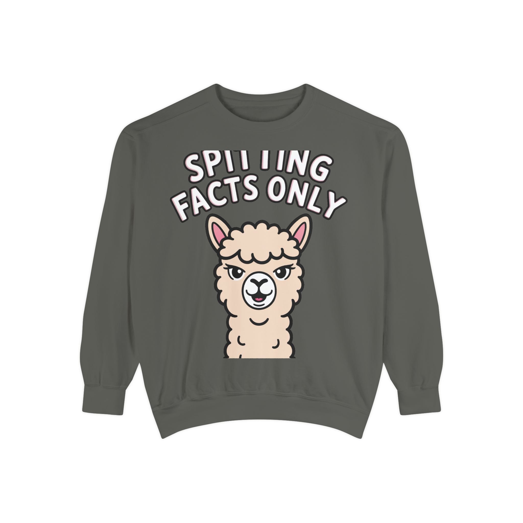 Alpaca Spitting Facts Sweatshirt, Funny Sassy Alpaca Crewneck, Cute Embroidered-Style Animal Sweatshirt, Alpaca Lover Gift