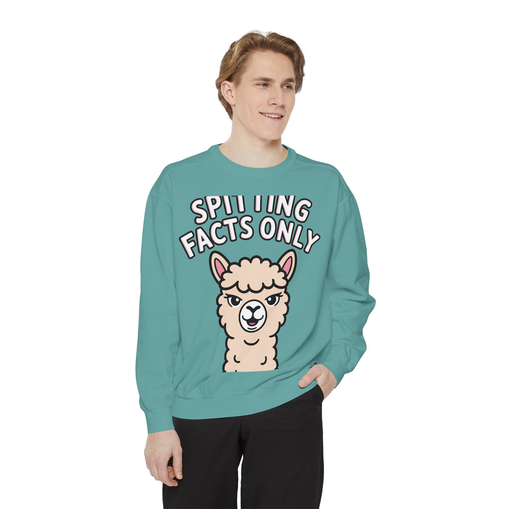 Alpaca Spitting Facts Sweatshirt, Funny Sassy Alpaca Crewneck, Cute Embroidered-Style Animal Sweatshirt, Alpaca Lover Gift