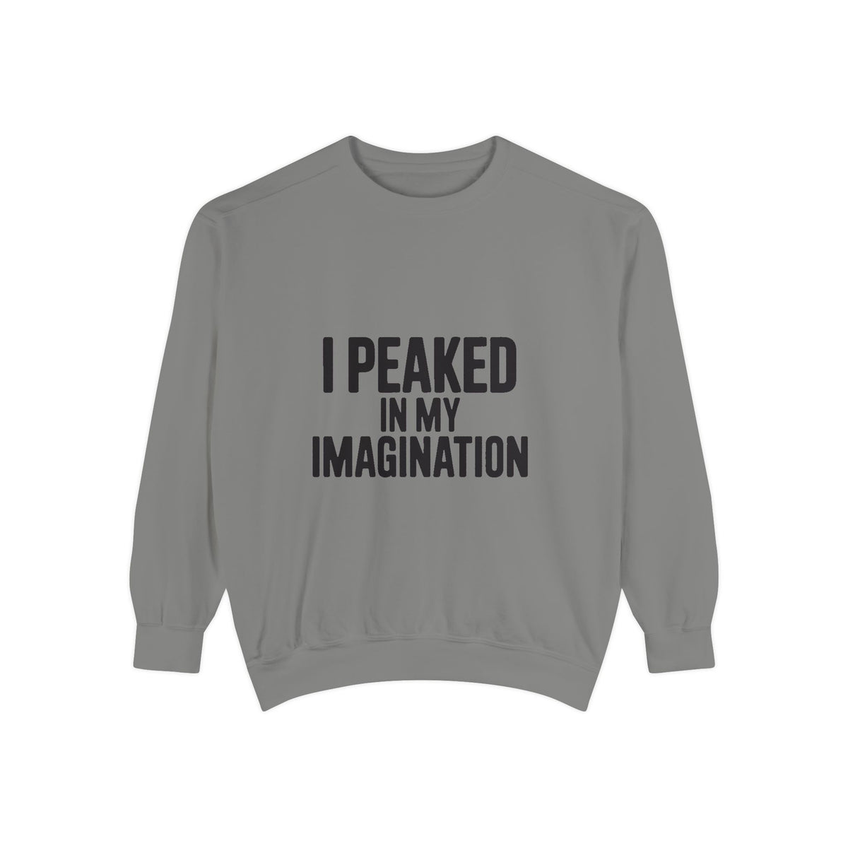 I Peaked In My Imagination Sweatshirt, Funny Sarcastic Crewneck, Bold Typography Embroidered Sweatshirt, Daydreamer Gift