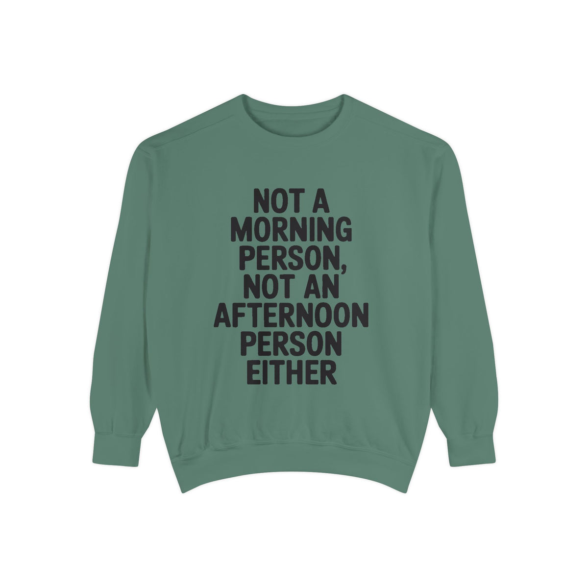 Not A Morning Person Sweatshirt, Funny Sarcastic Crewneck, Anti Morning Afternoon Person Shirt, Introvert Humor Gift