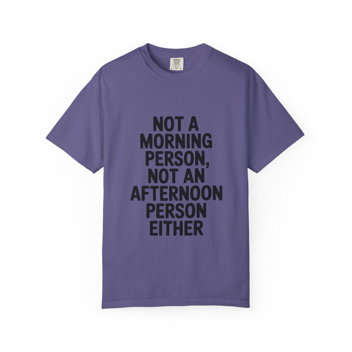 Not A Morning Person Shirt, Funny Sarcastic T-Shirt, Not An Afternoon Person Either Tee, Anti Social Gift