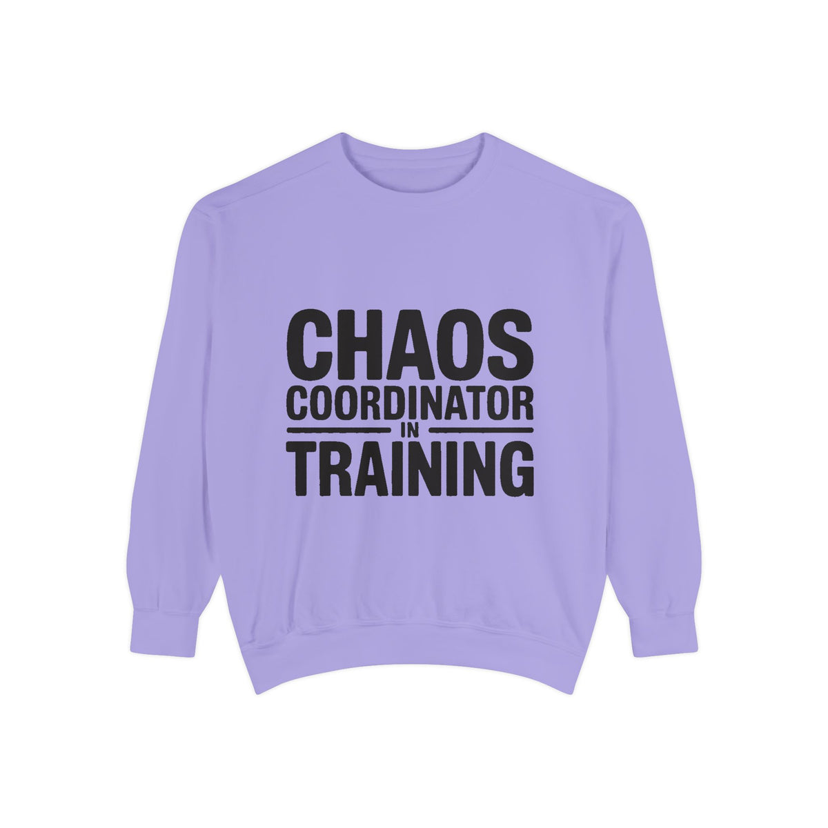 Chaos Coordinator In Training Sweatshirt, Funny Mom Crewneck, Embroidered Style Bold Text Sweatshirt, Teacher Nurse Gift