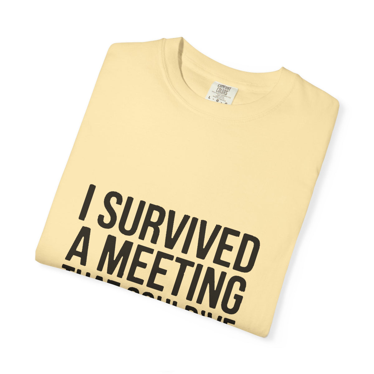 I Survived A Meeting That Could've Been An Email Shirt, Funny Office T-Shirt, Sarcastic Coworker Gift, Corporate Humor Tee