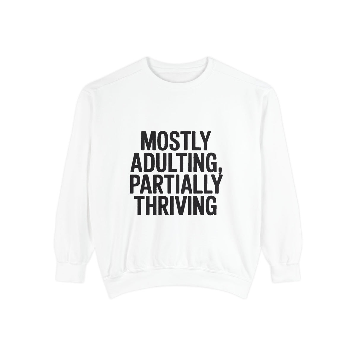 Mostly Adulting Partially Thriving Sweatshirt, Funny Embroidered Crewneck, Sarcastic Adult Life Sweatshirt, Trendy Minimalist Gift