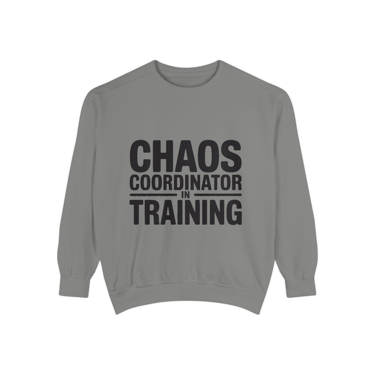 Chaos Coordinator In Training Sweatshirt, Funny Mom Crewneck, Embroidered Style Bold Text Sweatshirt, Teacher Nurse Gift
