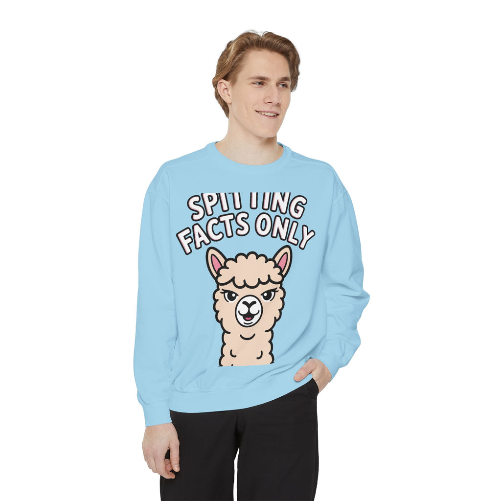Alpaca Spitting Facts Sweatshirt, Funny Sassy Alpaca Crewneck, Cute Embroidered-Style Animal Sweatshirt, Alpaca Lover Gift
