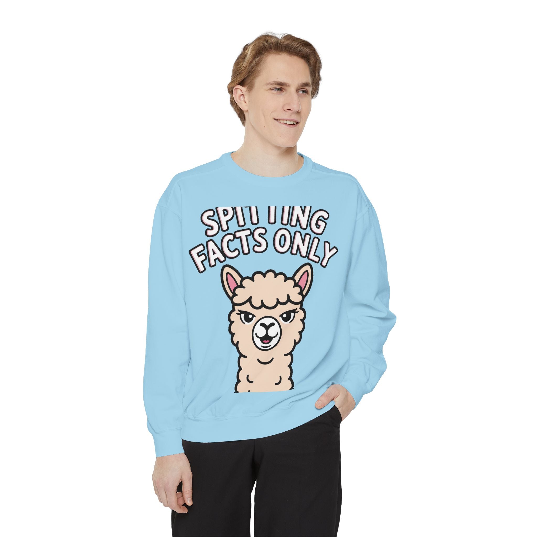 Alpaca Spitting Facts Sweatshirt, Funny Sassy Alpaca Crewneck, Cute Embroidered-Style Animal Sweatshirt, Alpaca Lover Gift