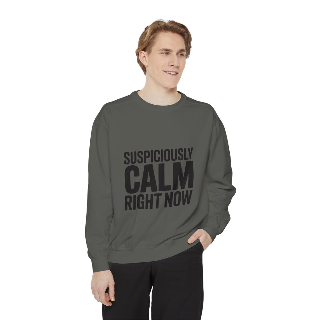 Suspiciously Calm Right Now Sweatshirt, Funny Sarcastic Crewneck, Bold Text Embroidered Patch Style Pullover, Sarcasm Gift