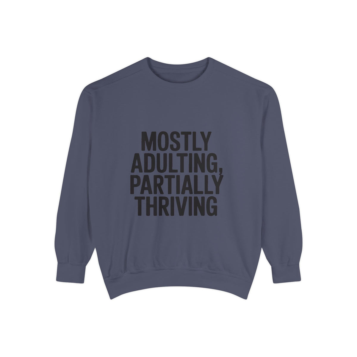 Mostly Adulting Partially Thriving Sweatshirt, Funny Embroidered Crewneck, Sarcastic Adult Life Sweatshirt, Trendy Minimalist Gift