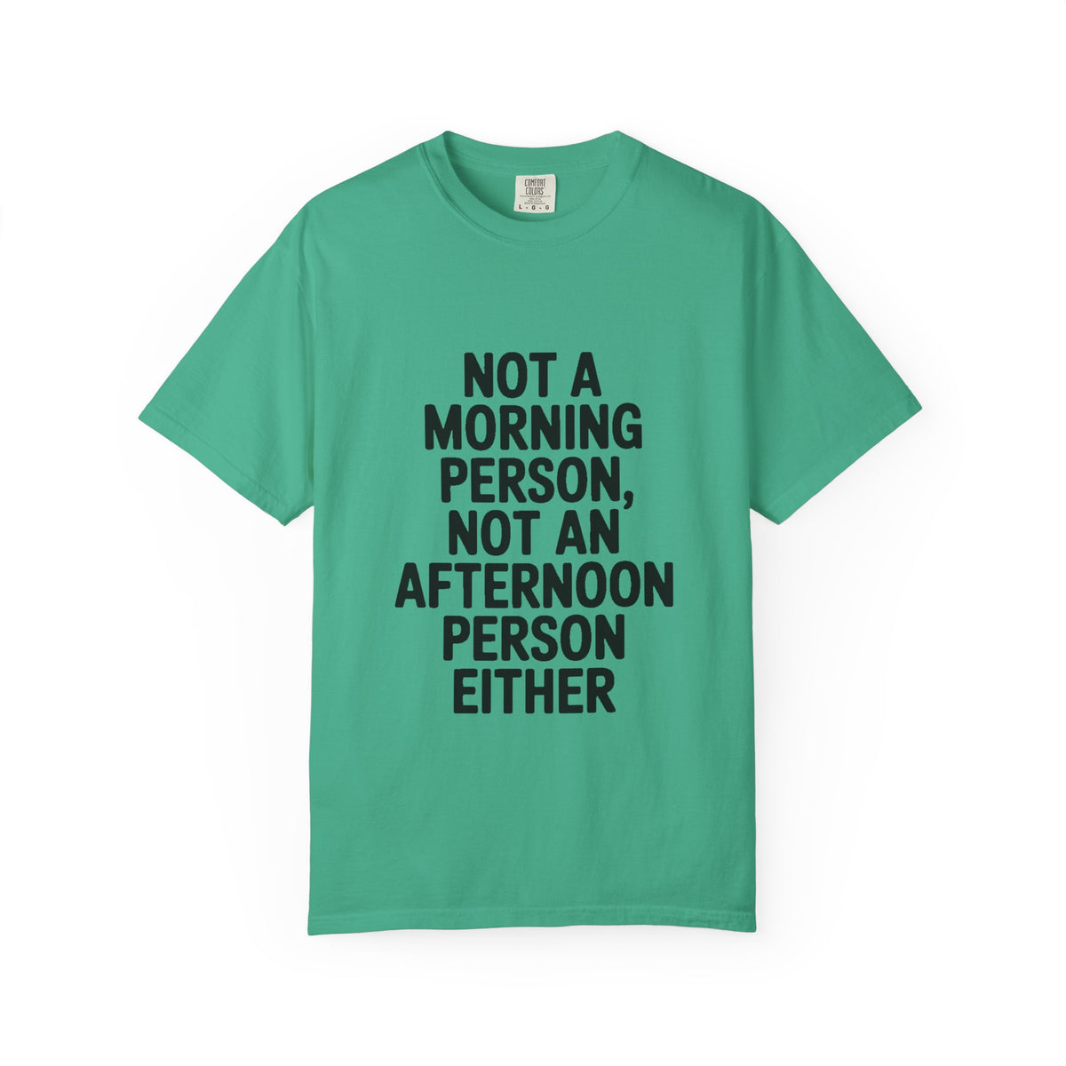 Not A Morning Person Shirt, Funny Sarcastic T-Shirt, Not An Afternoon Person Either Tee, Anti Social Gift
