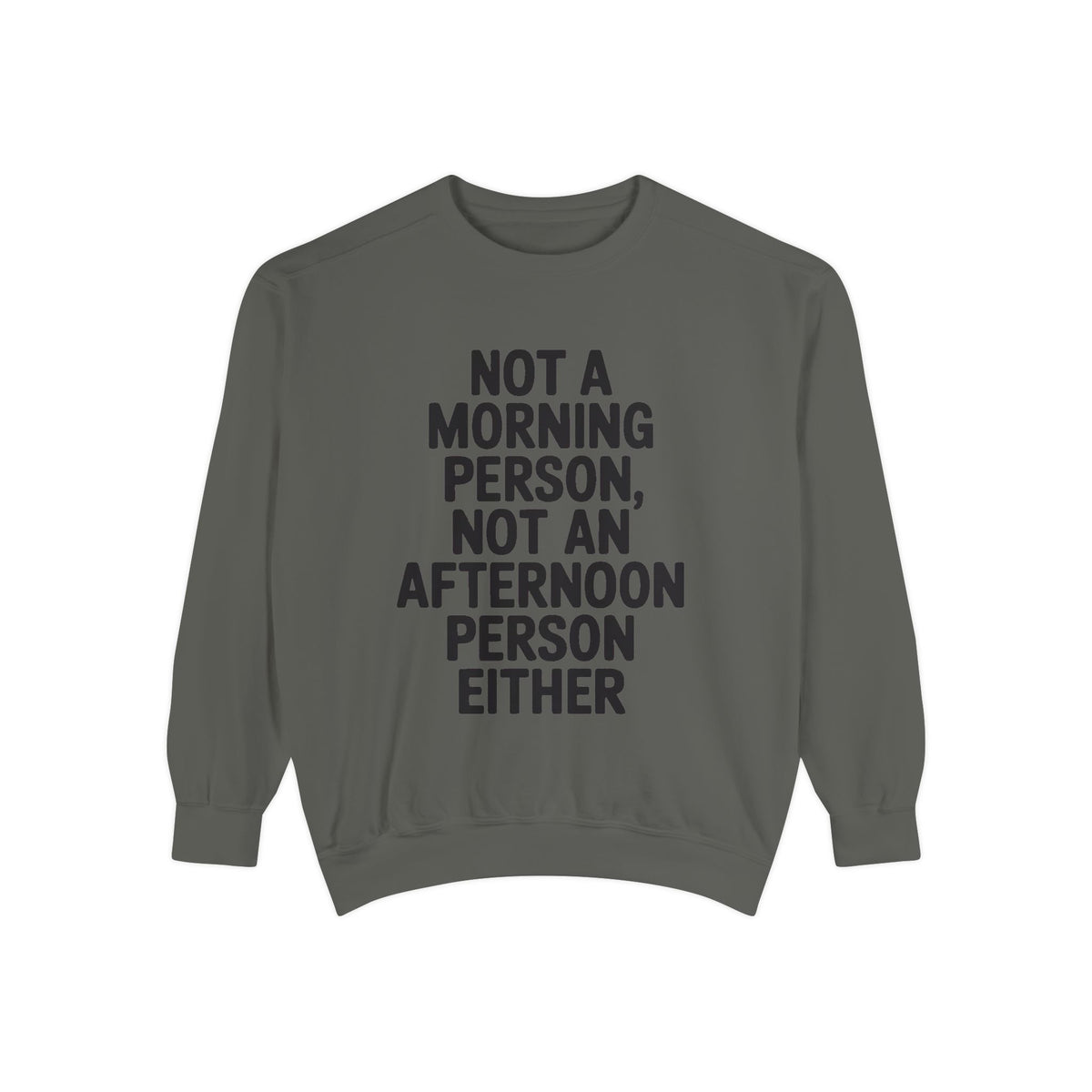 Not A Morning Person Sweatshirt, Funny Sarcastic Crewneck, Anti Morning Afternoon Person Shirt, Introvert Humor Gift