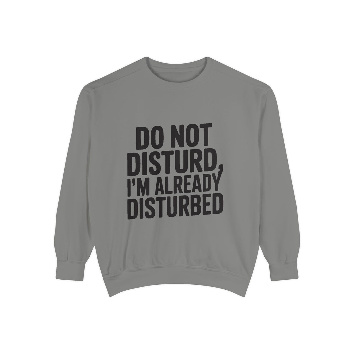 Do Not Disturb Already Disturbed Sweatshirt, Funny Sarcastic Crewneck, Embroidered Patch Style Pullover, Introvert Gift
