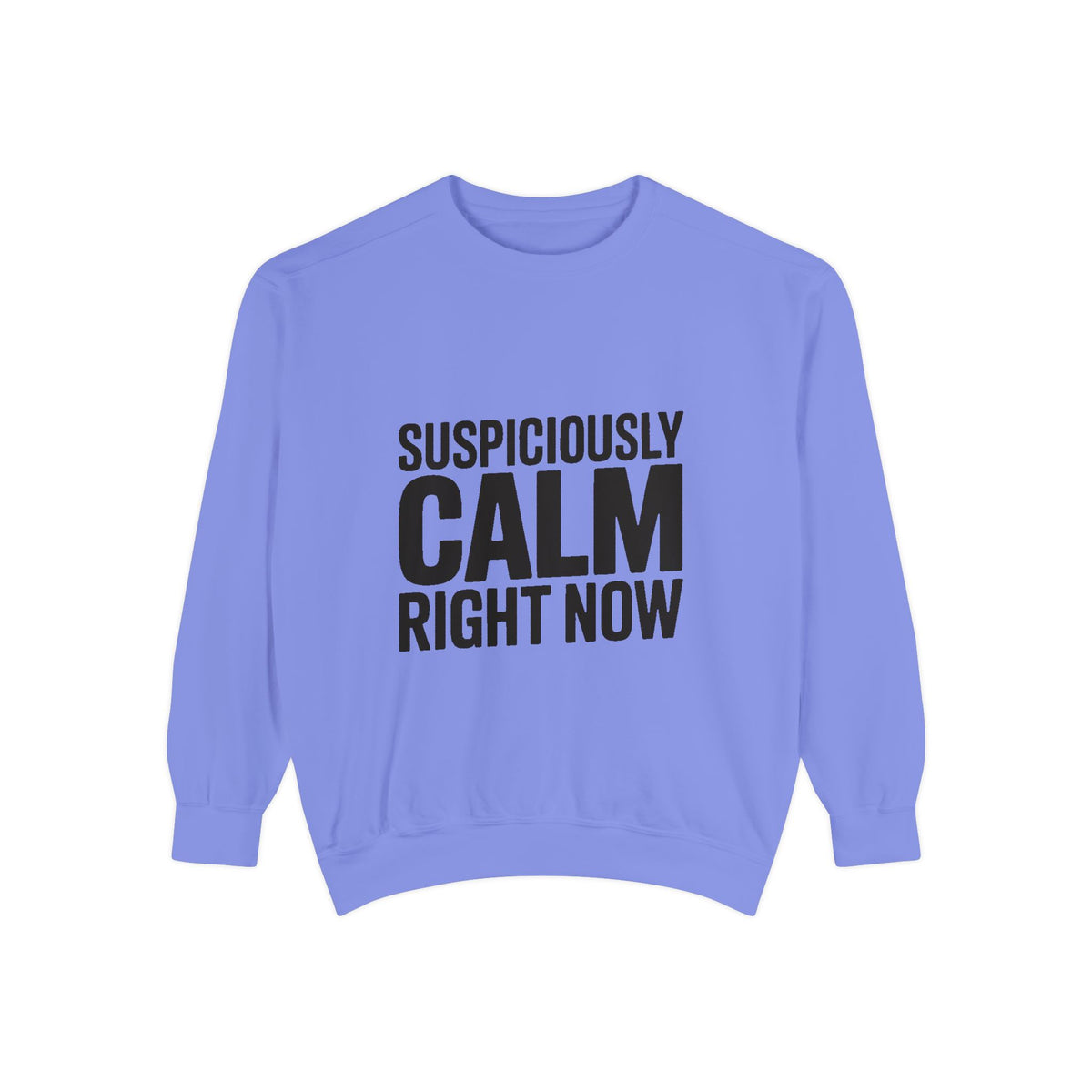 Suspiciously Calm Right Now Sweatshirt, Funny Sarcastic Crewneck, Bold Text Embroidered Patch Style Pullover, Sarcasm Gift