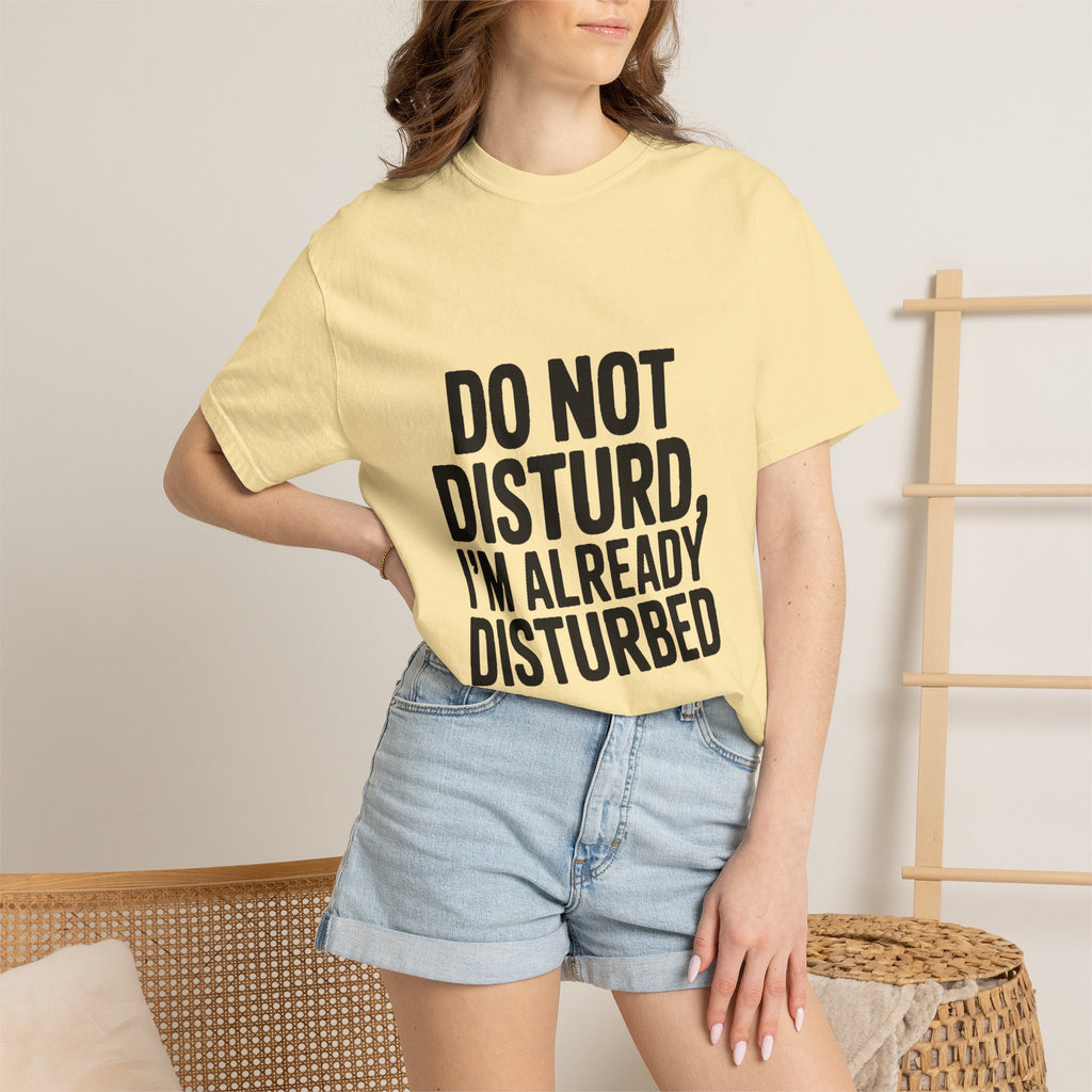 Do Not Disturb Already Disturbed Shirt, Funny Sarcastic T-Shirt, Introvert Humor Tee, Weird Mood Gift