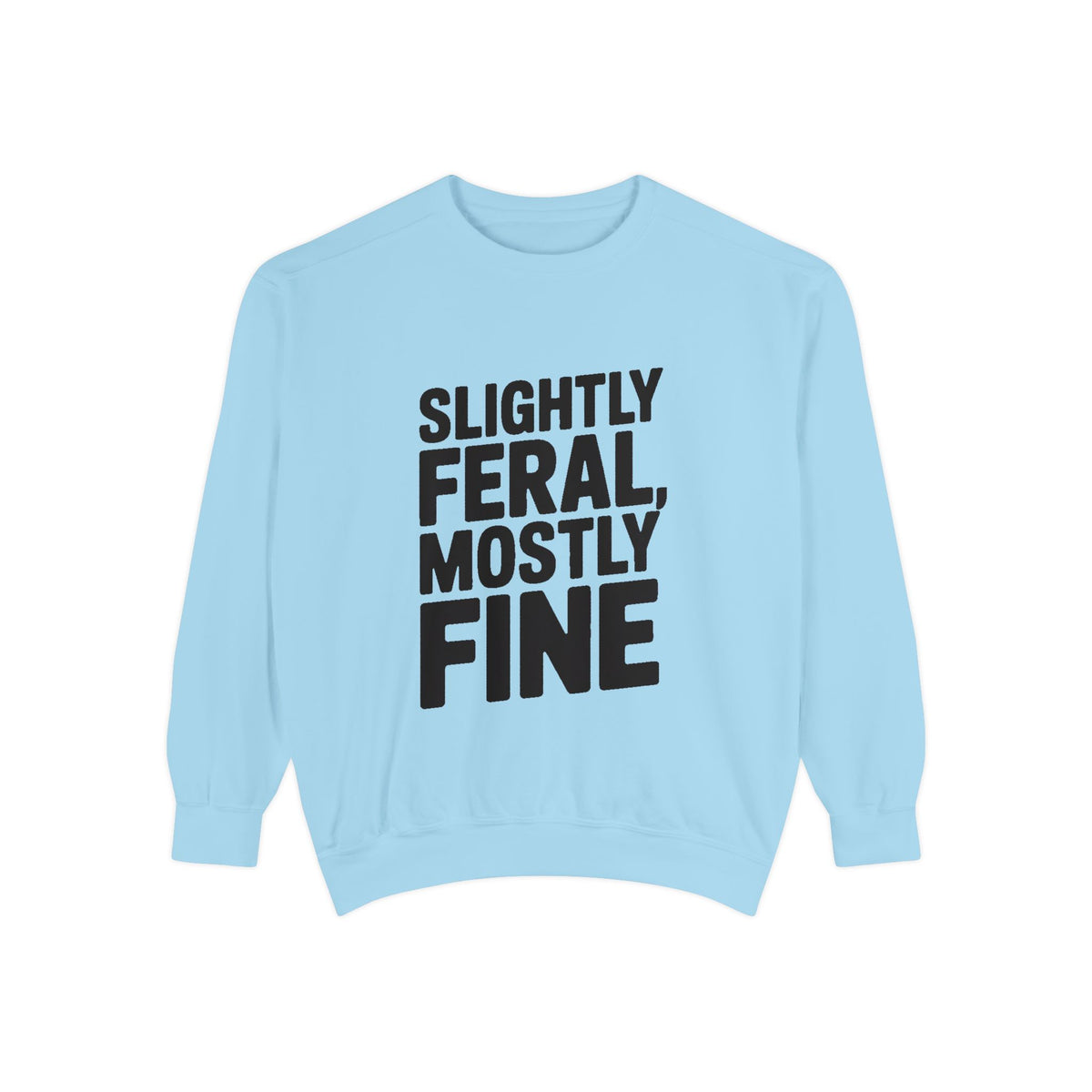 Slightly Feral Mostly Fine Sweatshirt, Funny Embroidered Crewneck, Sarcastic Quote Sweatshirt, Minimalist Text Gift for Her