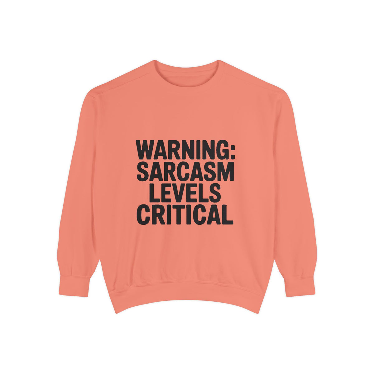 Warning Sarcasm Levels Critical Sweatshirt, Funny Embroidered Crewneck, Sarcastic Quote Pullover, Gift for Sarcastic Friend