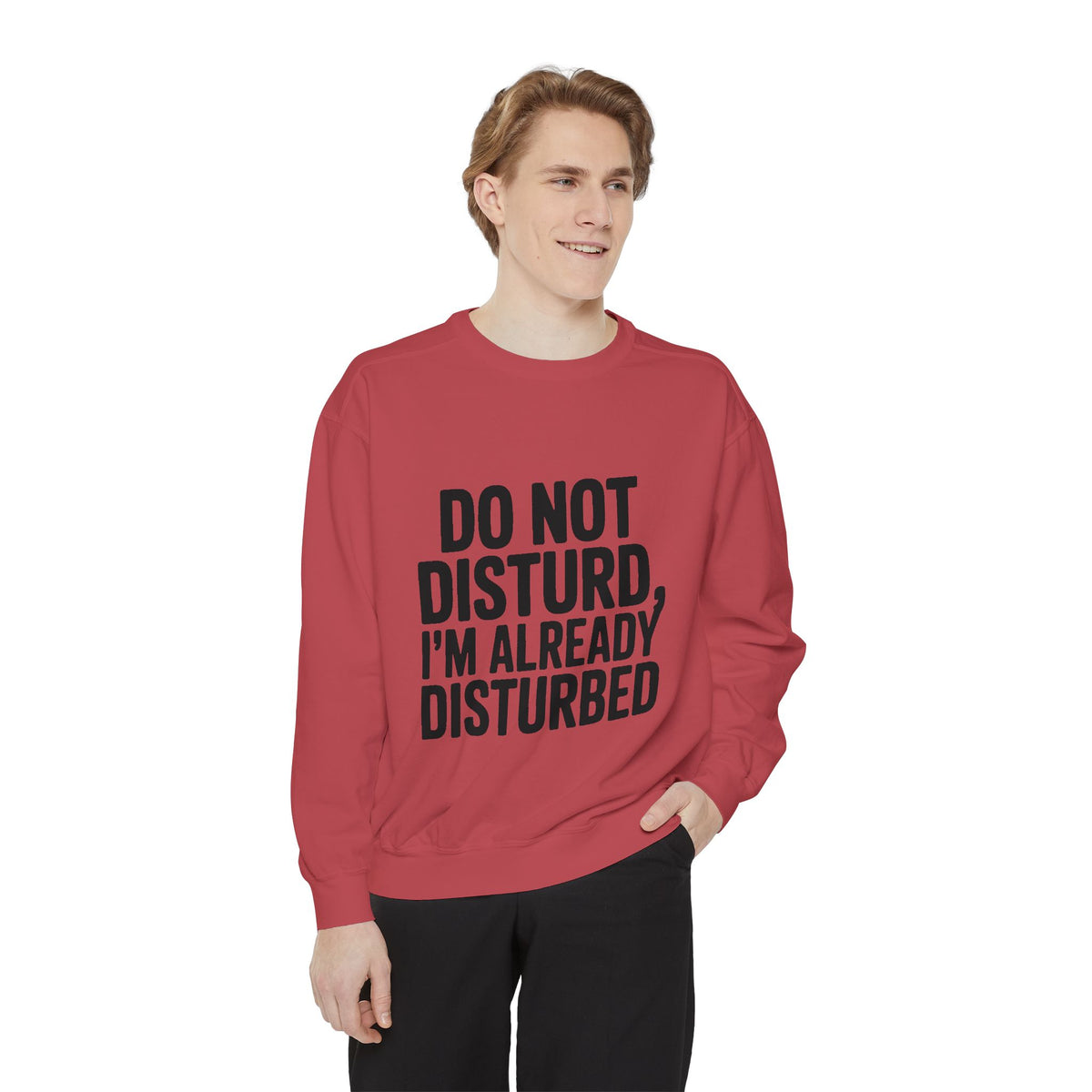 Do Not Disturb Already Disturbed Sweatshirt, Funny Sarcastic Crewneck, Embroidered Patch Style Pullover, Introvert Gift