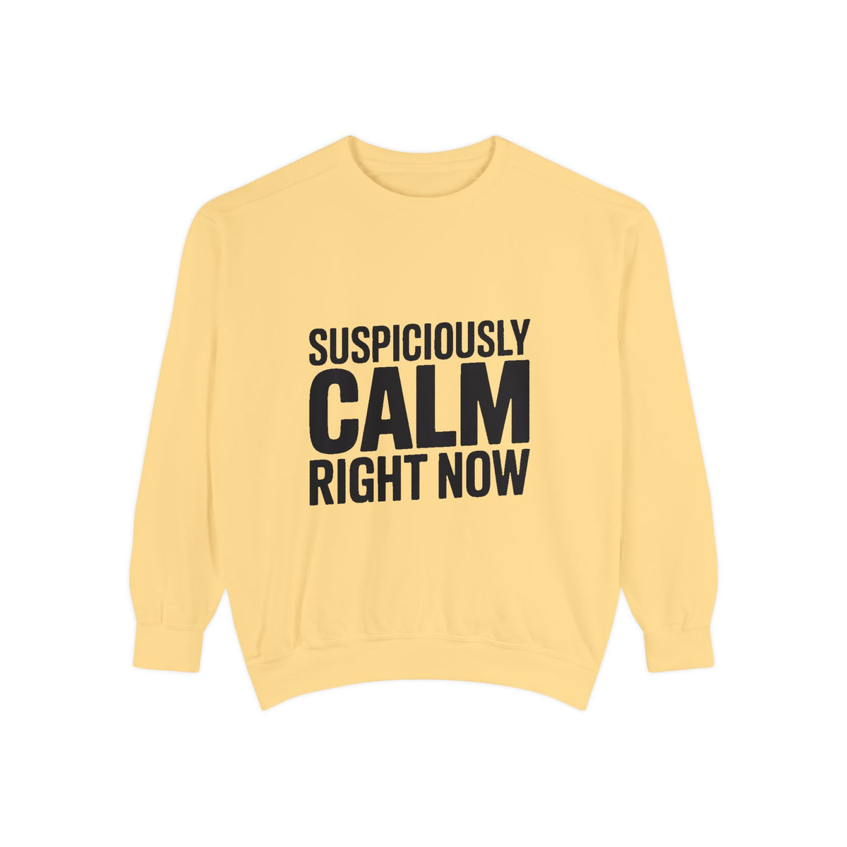 Suspiciously Calm Right Now Sweatshirt, Funny Sarcastic Crewneck, Bold Text Embroidered Patch Style Pullover, Sarcasm Gift