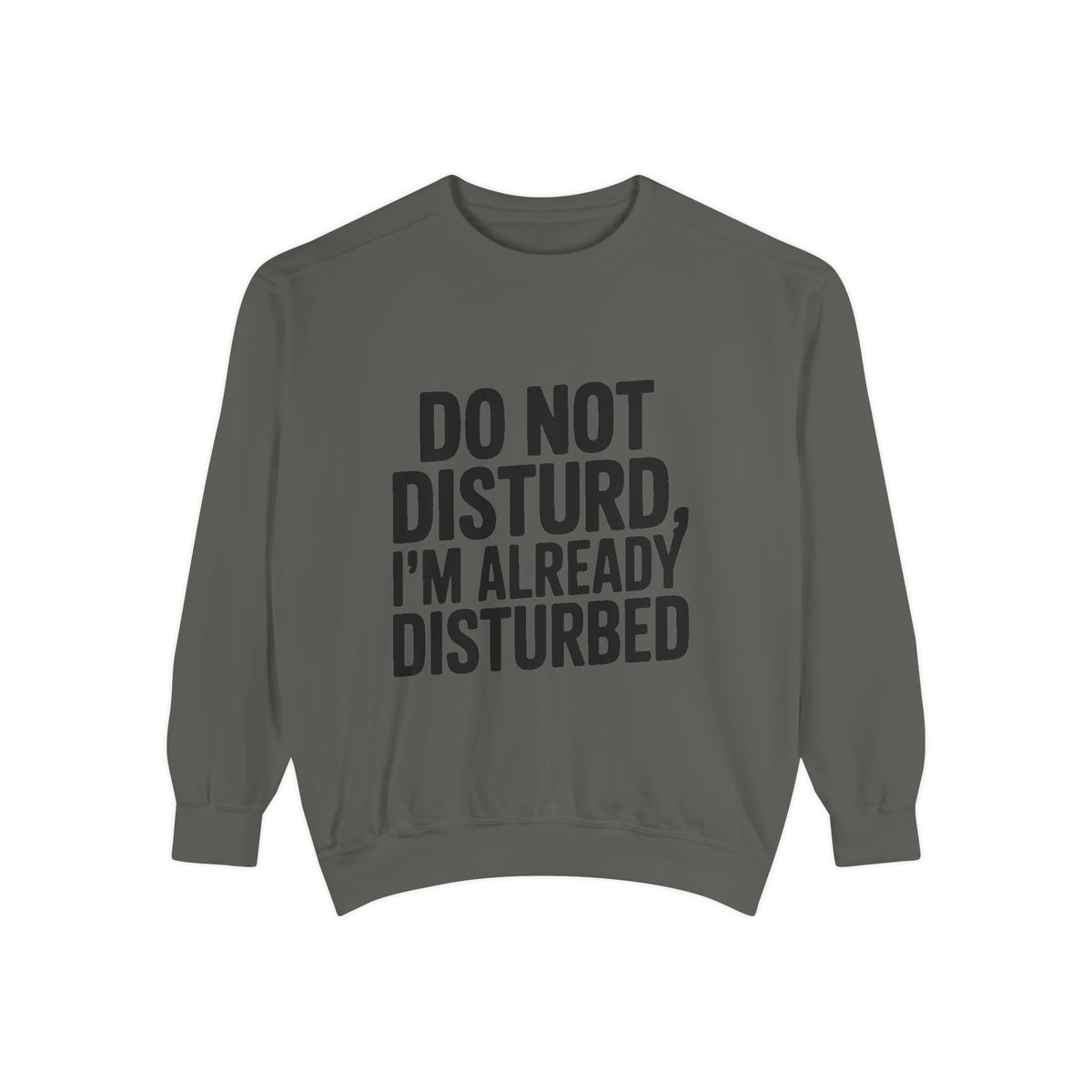 Do Not Disturb Already Disturbed Sweatshirt, Funny Sarcastic Crewneck, Embroidered Patch Style Pullover, Introvert Gift