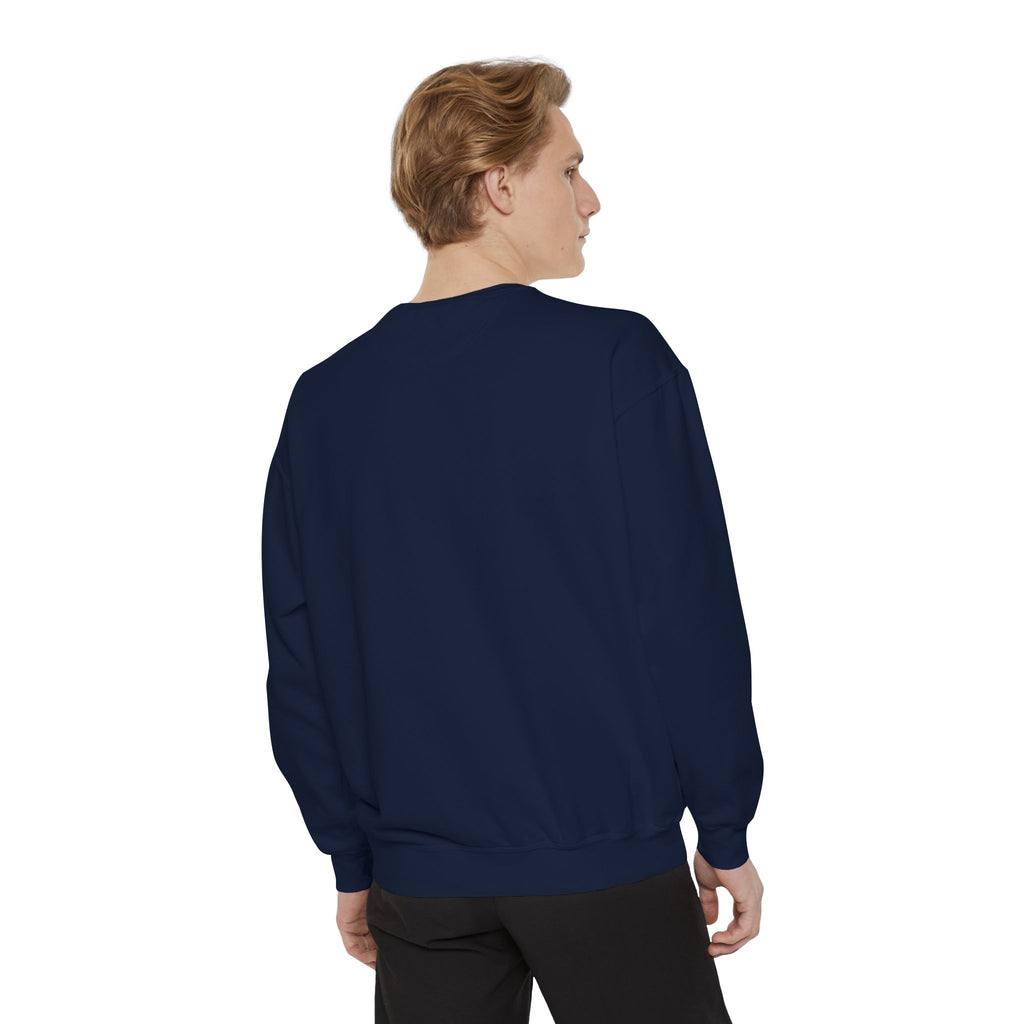 Not A Morning Person Sweatshirt, Funny Sarcastic Crewneck, Anti Morning Afternoon Person Shirt, Introvert Humor Gift
