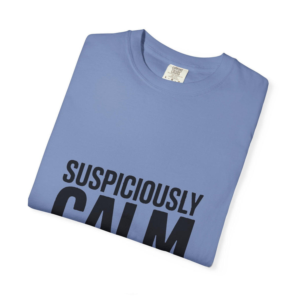 Suspiciously Calm Right Now Shirt, Funny Sarcastic T-Shirt, Bold Typography Tee, Anxiety Humor Shirt, Sarcastic Gift for Him Her
