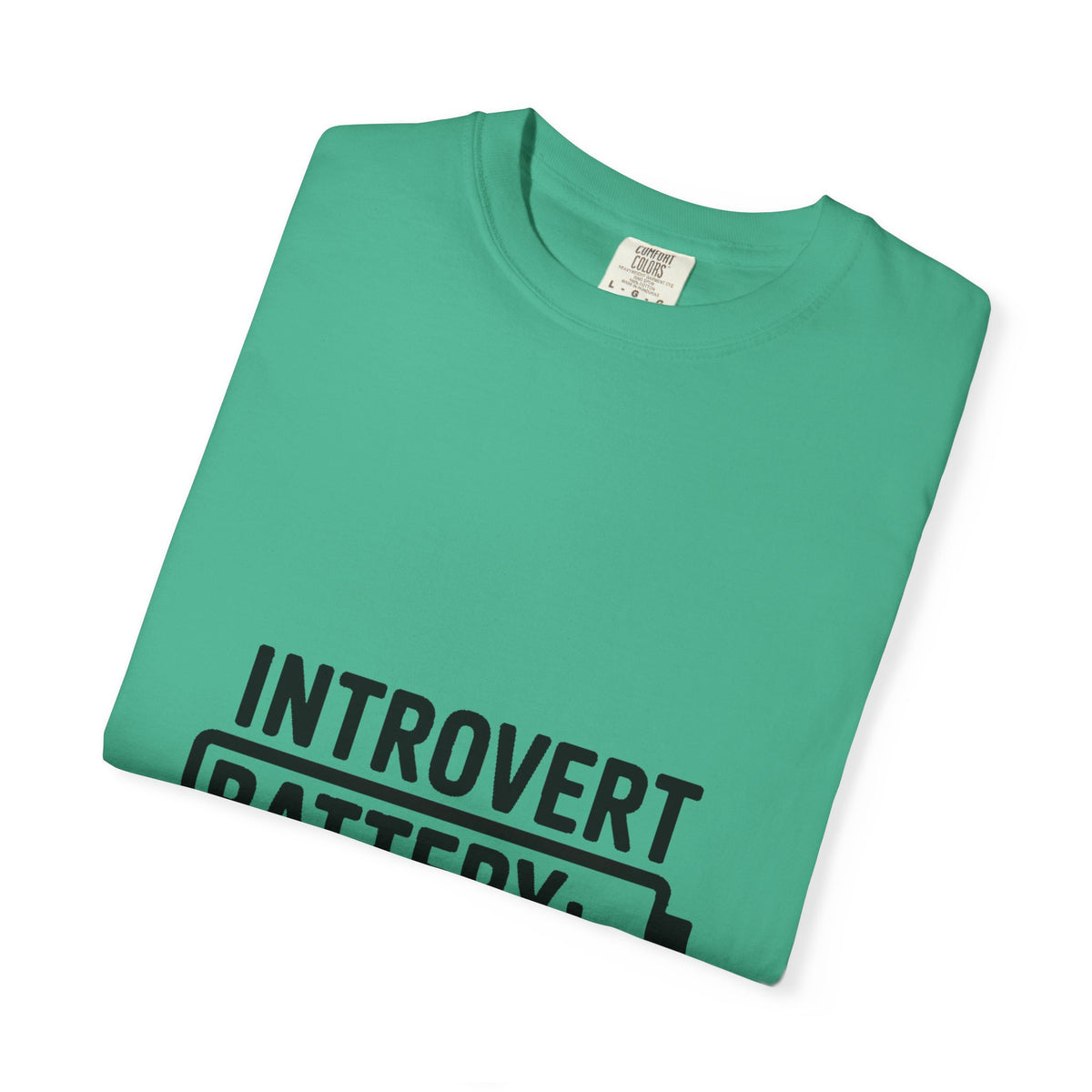 Introvert Battery Low Shirt, Funny Introvert Battery 12% Tee, Social Anxiety Humor T-Shirt, Sarcastic Gift for Introverts