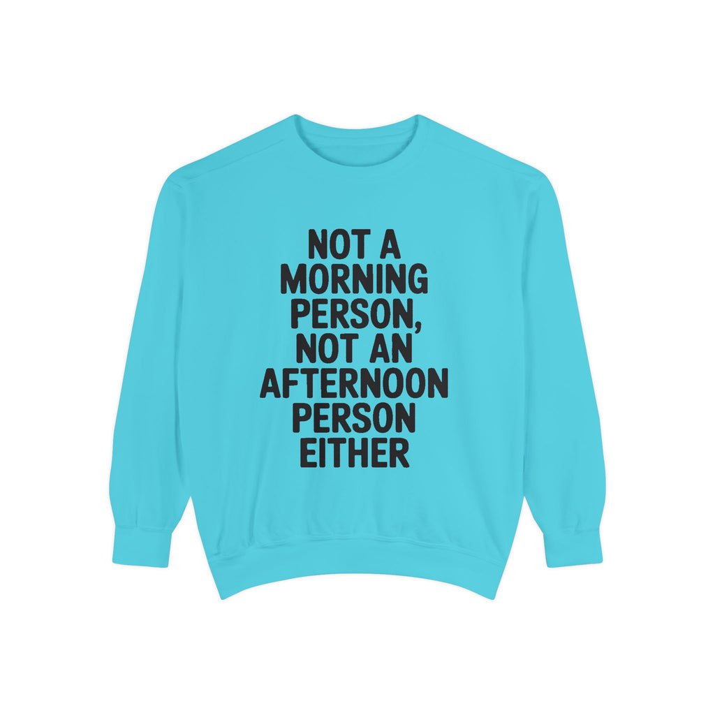 Not A Morning Person Sweatshirt, Funny Sarcastic Crewneck, Anti Morning Afternoon Person Shirt, Introvert Humor Gift
