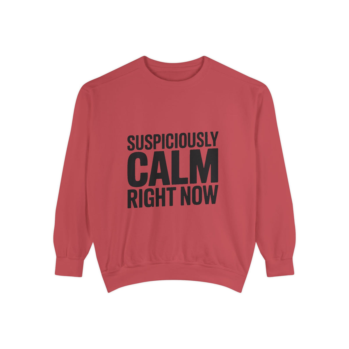 Suspiciously Calm Right Now Sweatshirt, Funny Sarcastic Crewneck, Bold Text Embroidered Patch Style Pullover, Sarcasm Gift