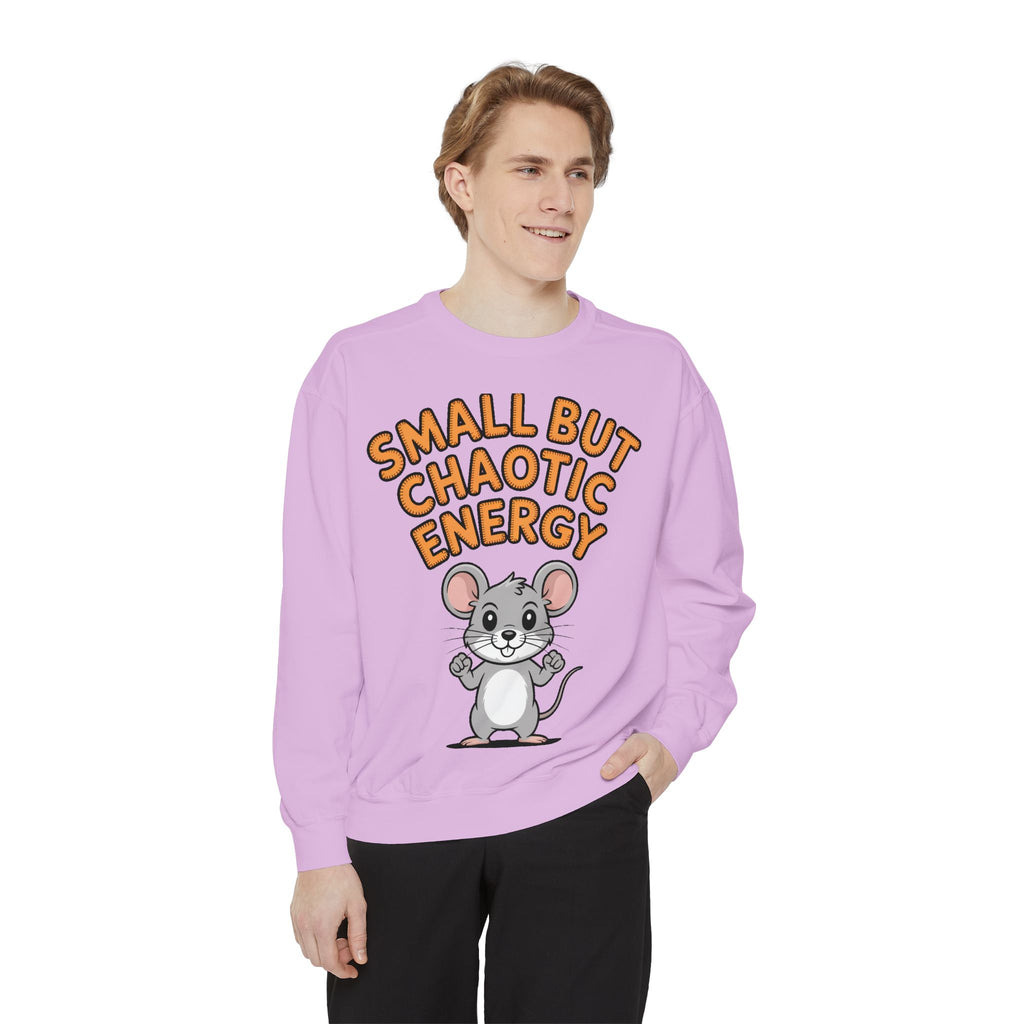 Small But Chaotic Energy Sweatshirt, Funny Mouse Crewneck, Cute Cartoon Mouse Sweatshirt, Embroidered Patch Style Gift