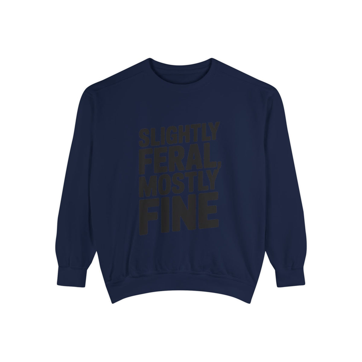 Slightly Feral Mostly Fine Sweatshirt, Funny Embroidered Crewneck, Sarcastic Quote Sweatshirt, Minimalist Text Gift for Her