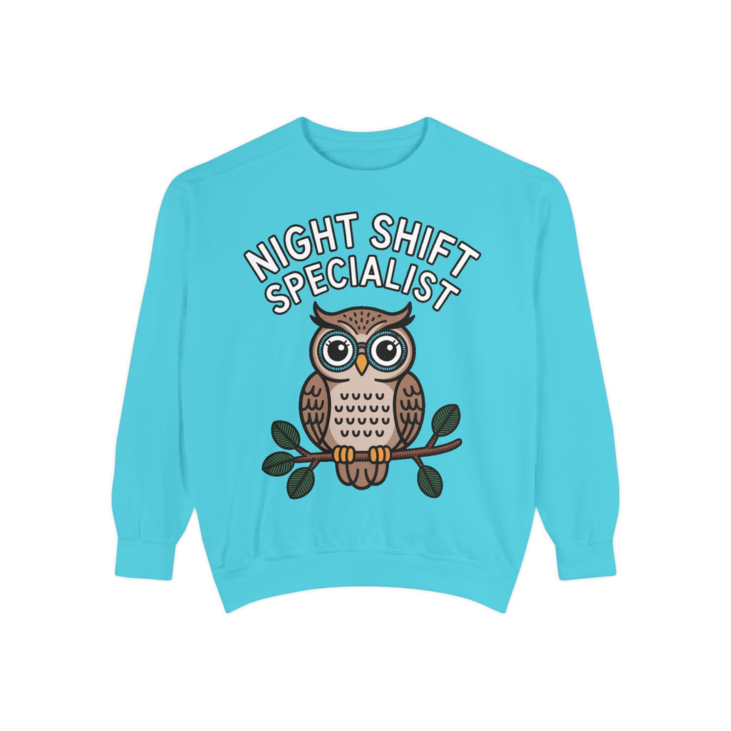 Night Shift Owl Sweatshirt, Funny Night Owl Crewneck, Night Shift Specialist Gift, Cute Bird Lover Sweatshirt, Nurse Gift