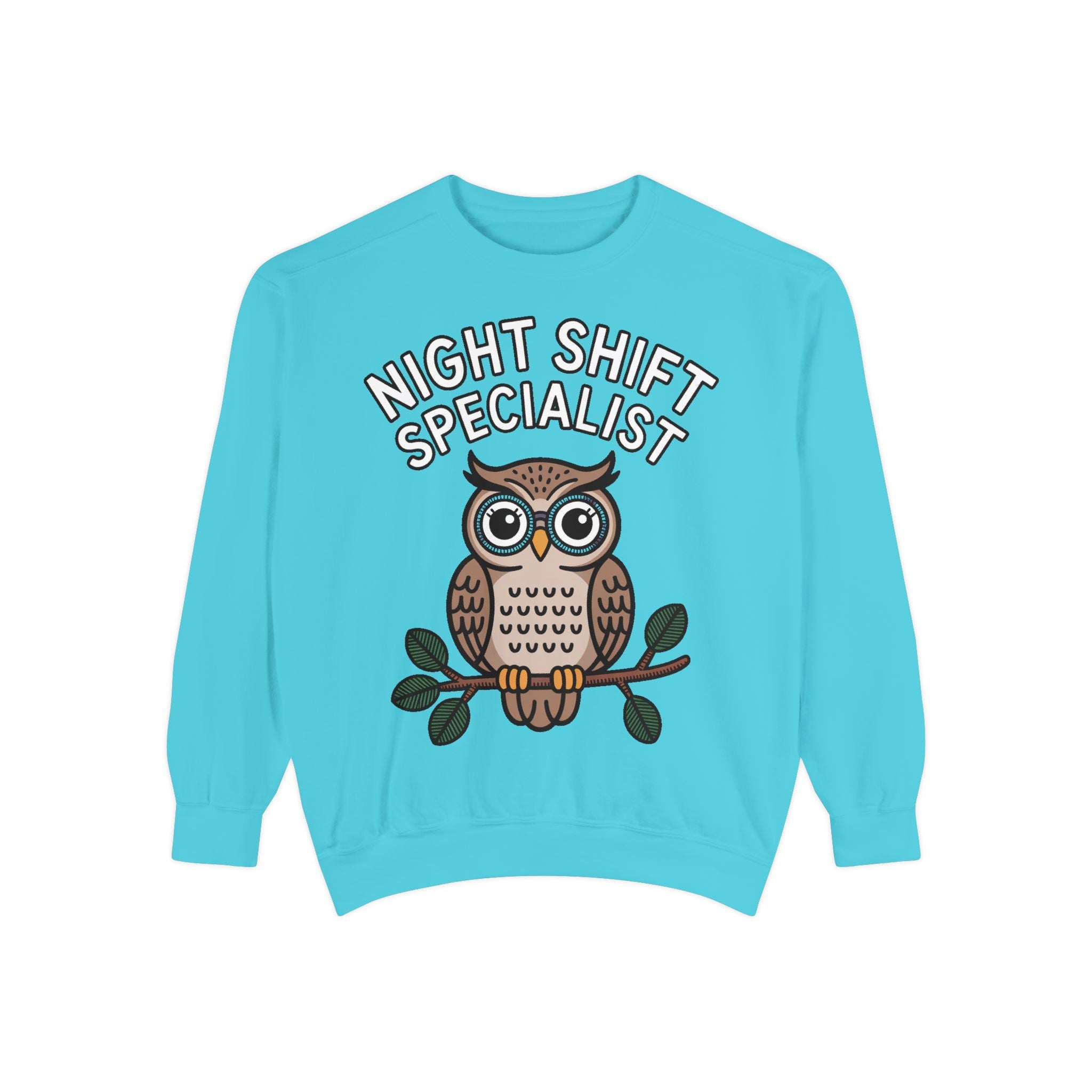 Night Shift Owl Sweatshirt, Funny Night Owl Crewneck, Night Shift Specialist Gift, Cute Bird Lover Sweatshirt, Nurse Gift