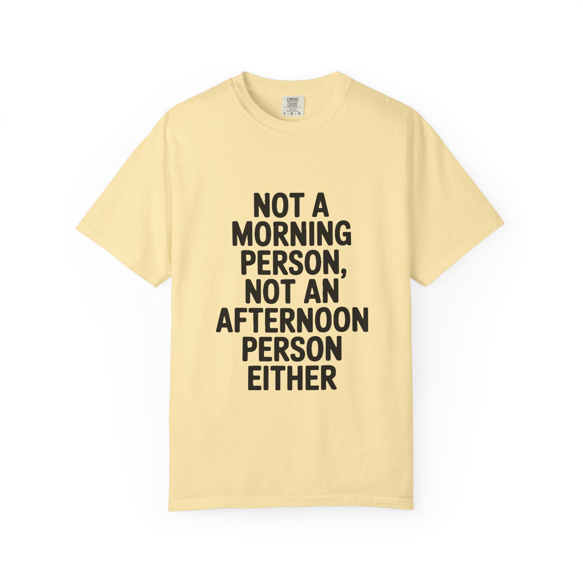 Not A Morning Person Shirt, Funny Sarcastic T-Shirt, Not An Afternoon Person Either Tee, Anti Social Gift