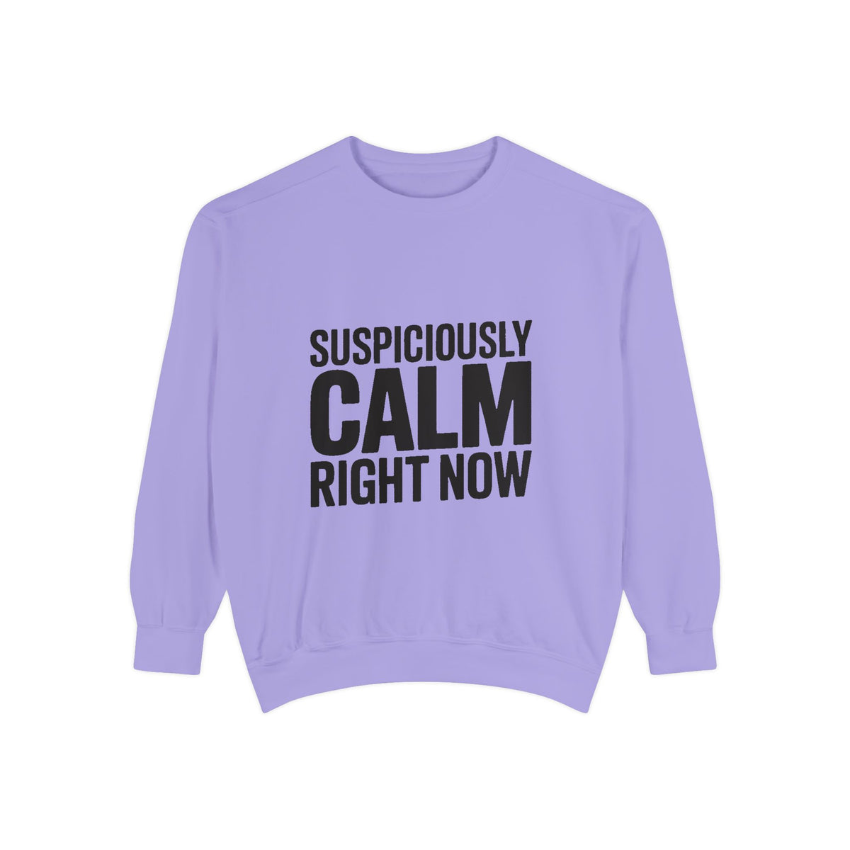 Suspiciously Calm Right Now Sweatshirt, Funny Sarcastic Crewneck, Bold Text Embroidered Patch Style Pullover, Sarcasm Gift
