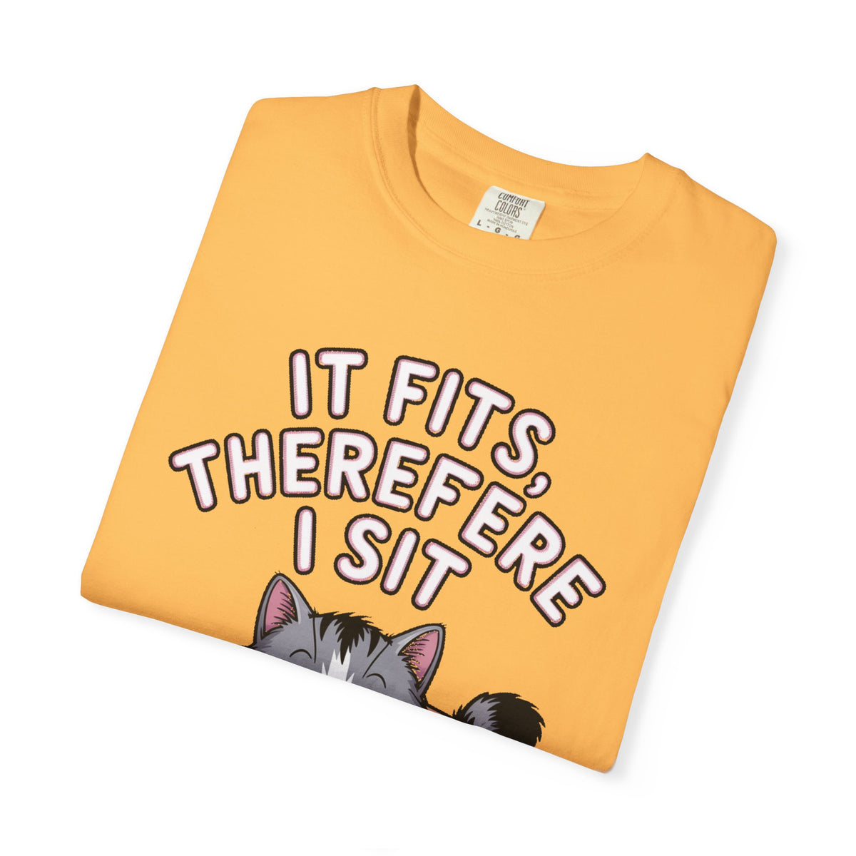 It Fits Therefore I Sit Cat Shirt, Funny Cat In Box T-Shirt, Cute Chubby Cat Lover Gift, Cat Owner Shirt, Funny Cat Meme Tee