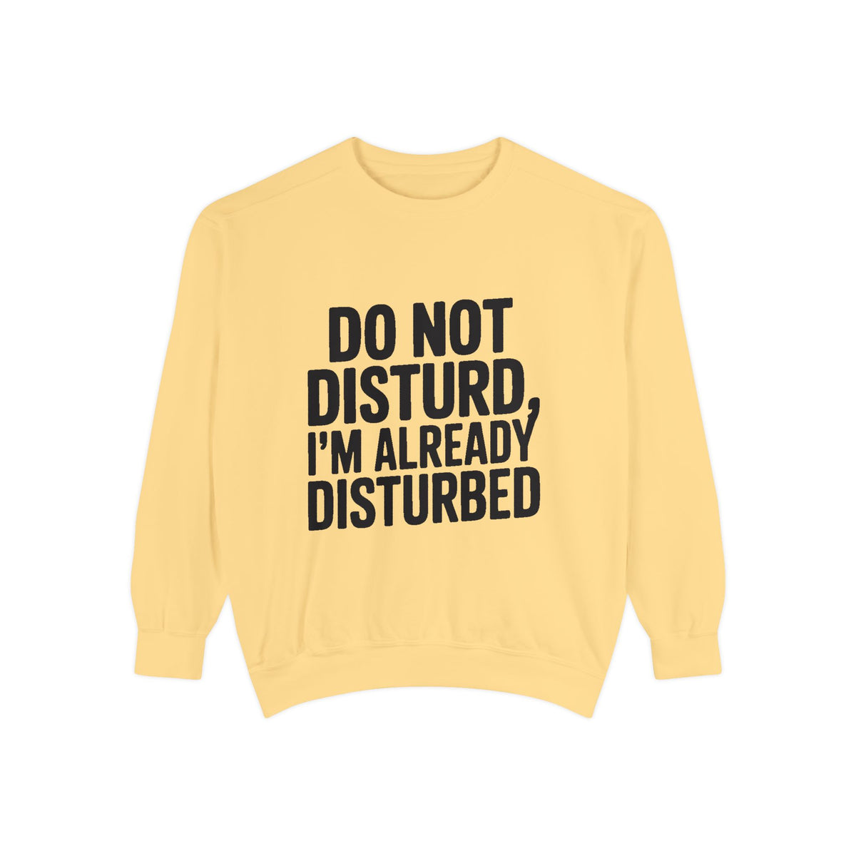 Do Not Disturb Already Disturbed Sweatshirt, Funny Sarcastic Crewneck, Embroidered Patch Style Pullover, Introvert Gift
