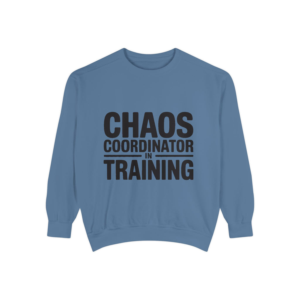 Chaos Coordinator In Training Sweatshirt, Funny Mom Crewneck, Embroidered Style Bold Text Sweatshirt, Teacher Nurse Gift
