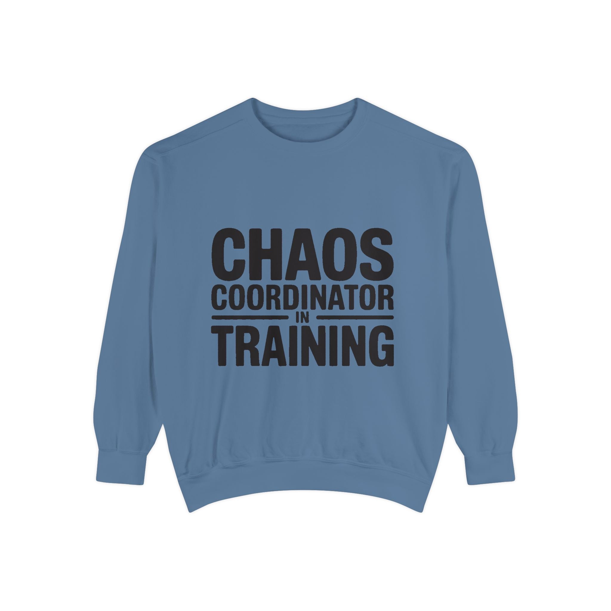 Chaos Coordinator In Training Sweatshirt, Funny Mom Crewneck, Embroidered Style Bold Text Sweatshirt, Teacher Nurse Gift