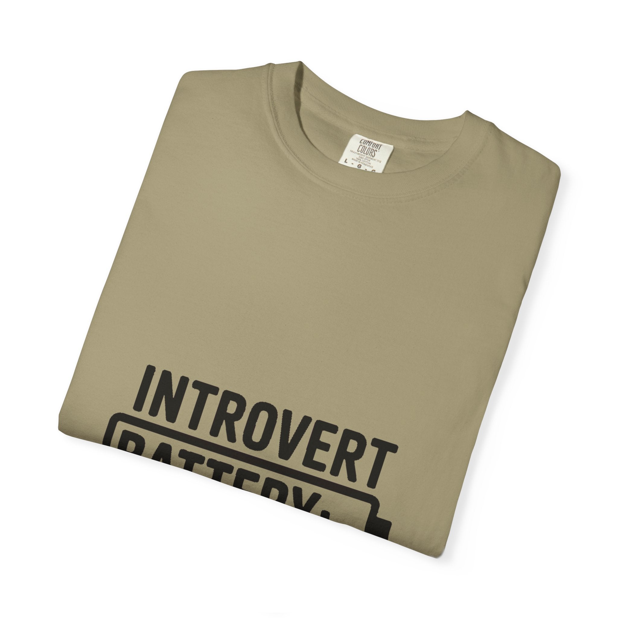 Introvert Battery Low Shirt, Funny Introvert Battery 12% Tee, Social Anxiety Humor T-Shirt, Sarcastic Gift for Introverts