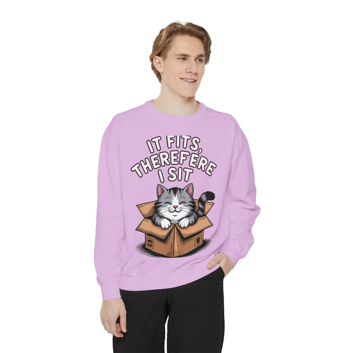 Funny Cat Sweatshirt, It Fits Therefore I Sit Crewneck, Cat In Box Embroidered Sweatshirt, Cat Lover Gift, Funny Cat Lover Sweater