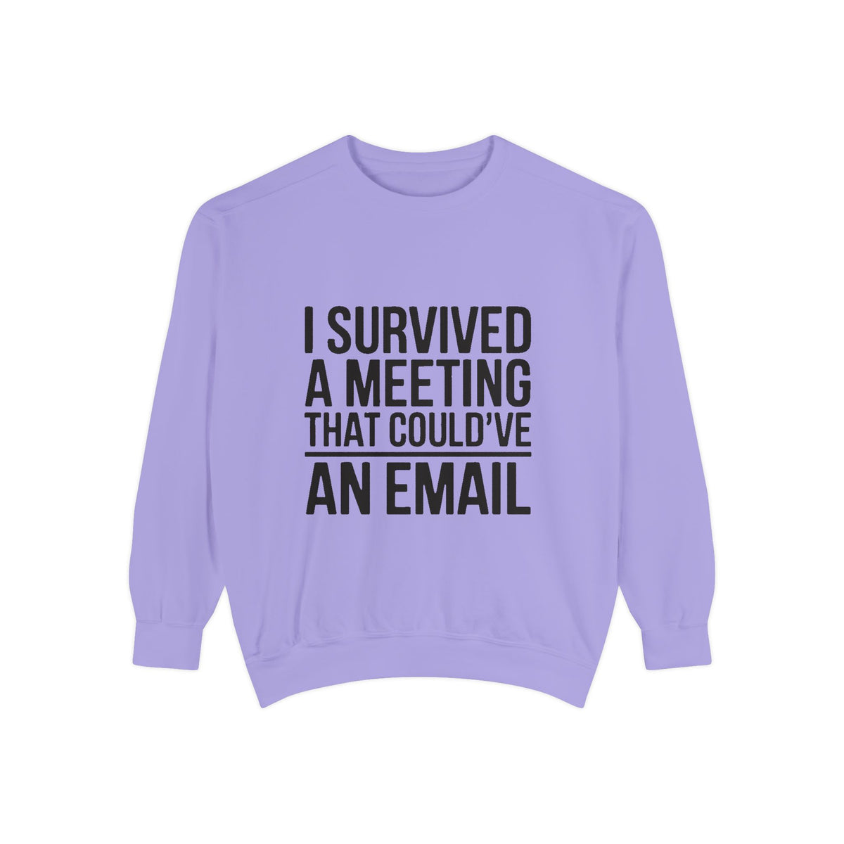 I Survived A Meeting That Could've Been An Email Sweatshirt, Funny Office Crewneck, Sarcastic Coworker Gift, Corporate Humor Sweater