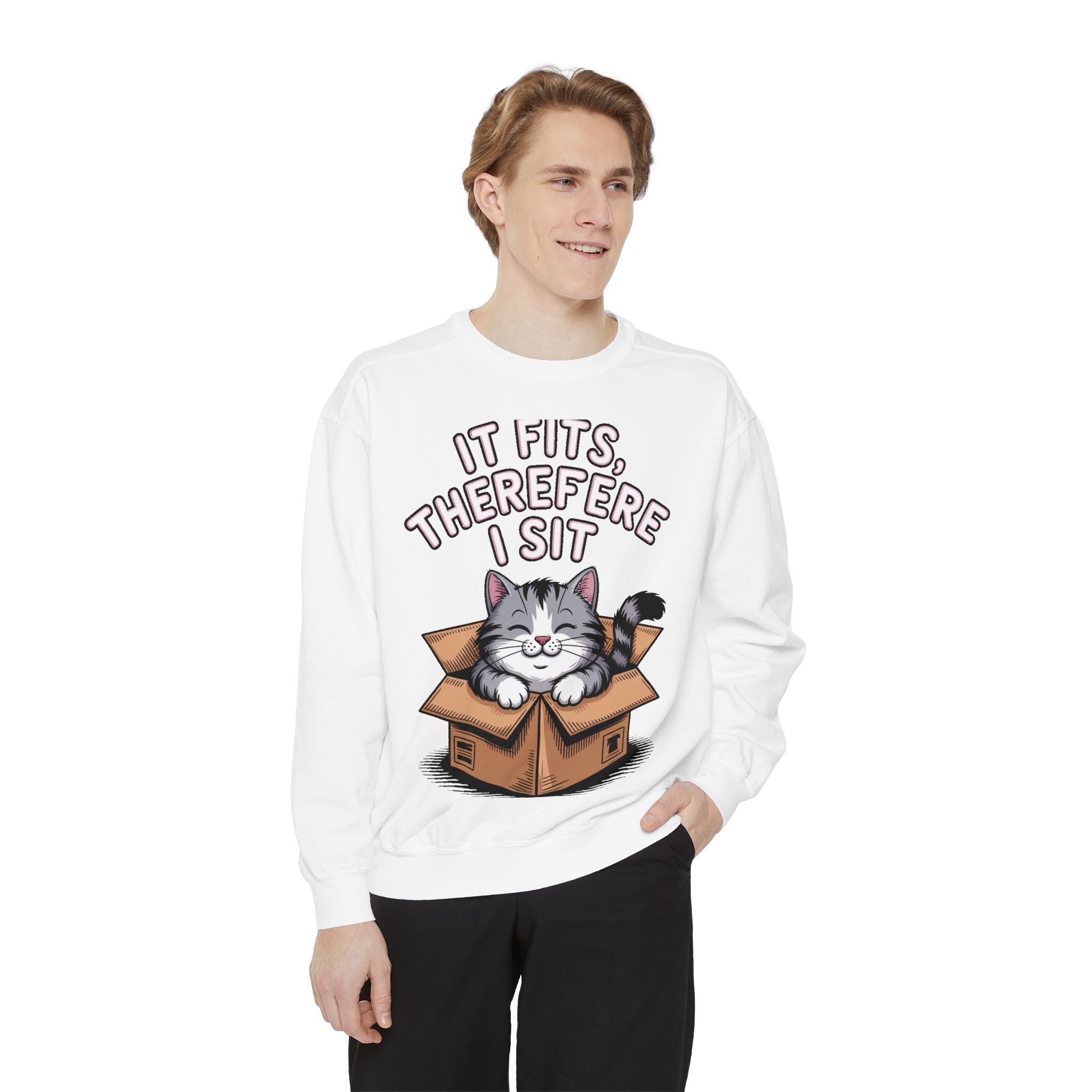 Funny Cat Sweatshirt, It Fits Therefore I Sit Crewneck, Cat In Box Embroidered Sweatshirt, Cat Lover Gift, Funny Cat Lover Sweater