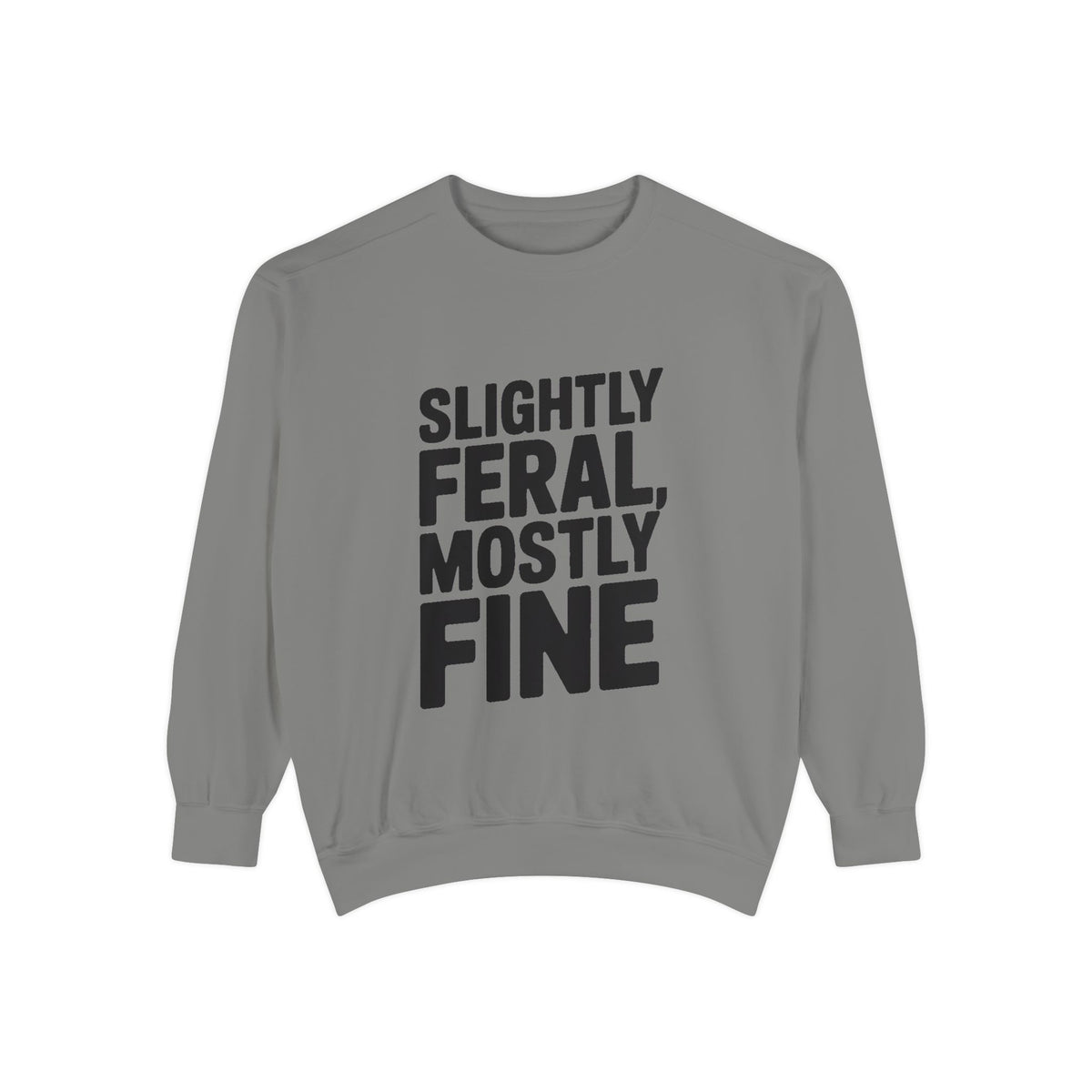 Slightly Feral Mostly Fine Sweatshirt, Funny Embroidered Crewneck, Sarcastic Quote Sweatshirt, Minimalist Text Gift for Her