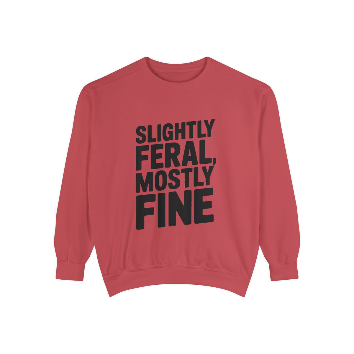 Slightly Feral Mostly Fine Sweatshirt, Funny Embroidered Crewneck, Sarcastic Quote Sweatshirt, Minimalist Text Gift for Her