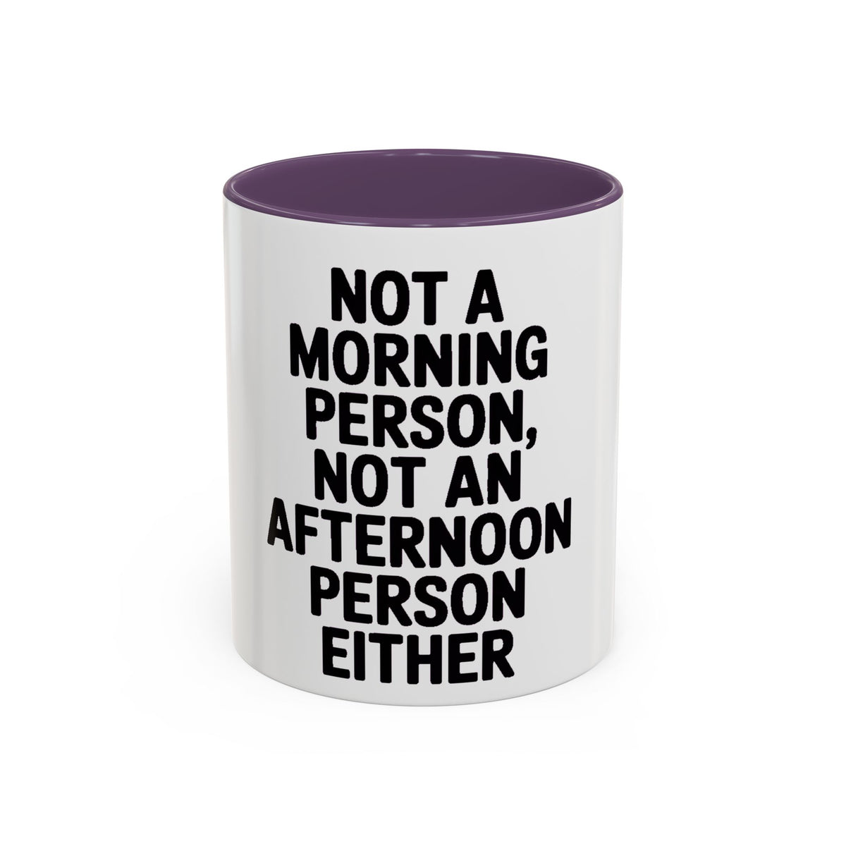 Not A Morning Person Mug, Funny Sarcastic Coffee Mug, Not An Afternoon Person Either, Anti-Morning Gift for Coworker or Friend